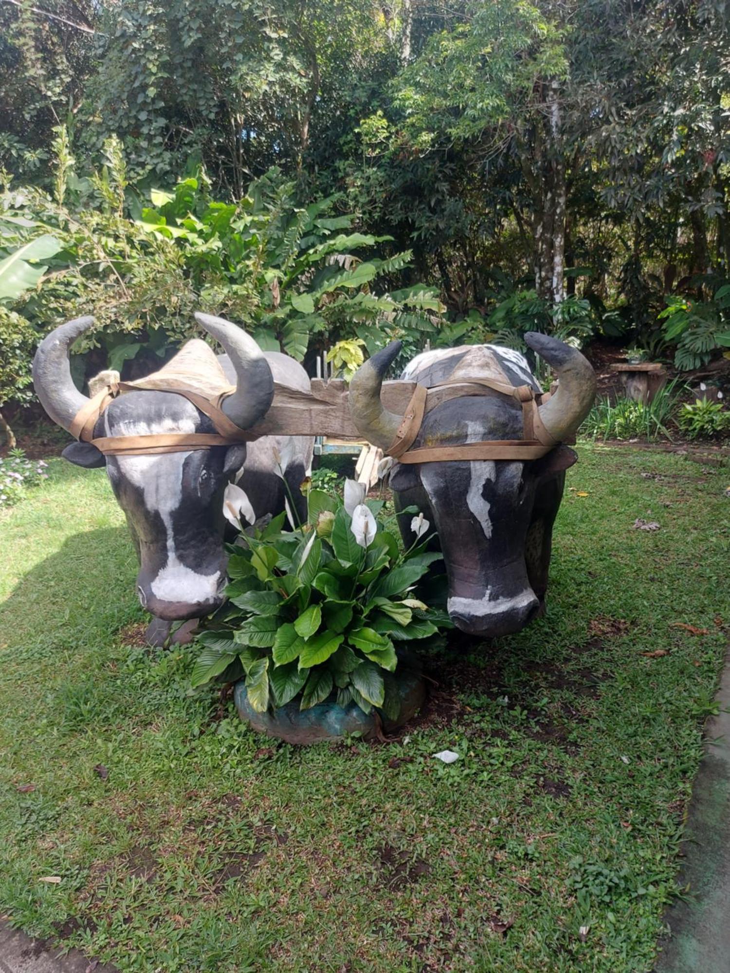 Alisson Hotel Y Restaurant Monteverde Buitenkant foto